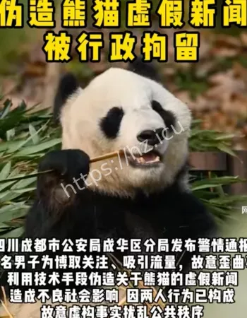 炮制熊猫虚假信息